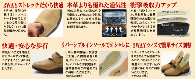 エコ ポイント